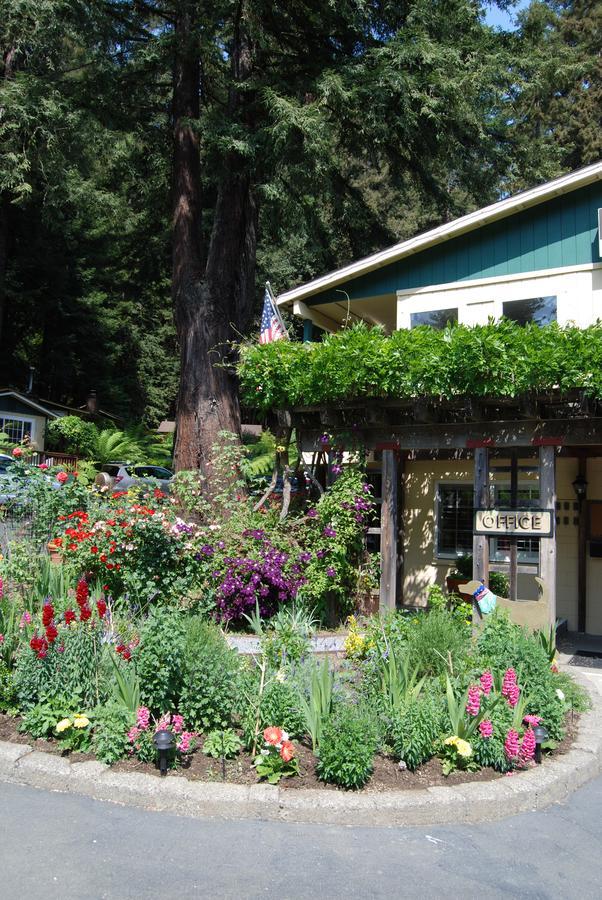 Fern Grove Cottages Guerneville Exterior foto